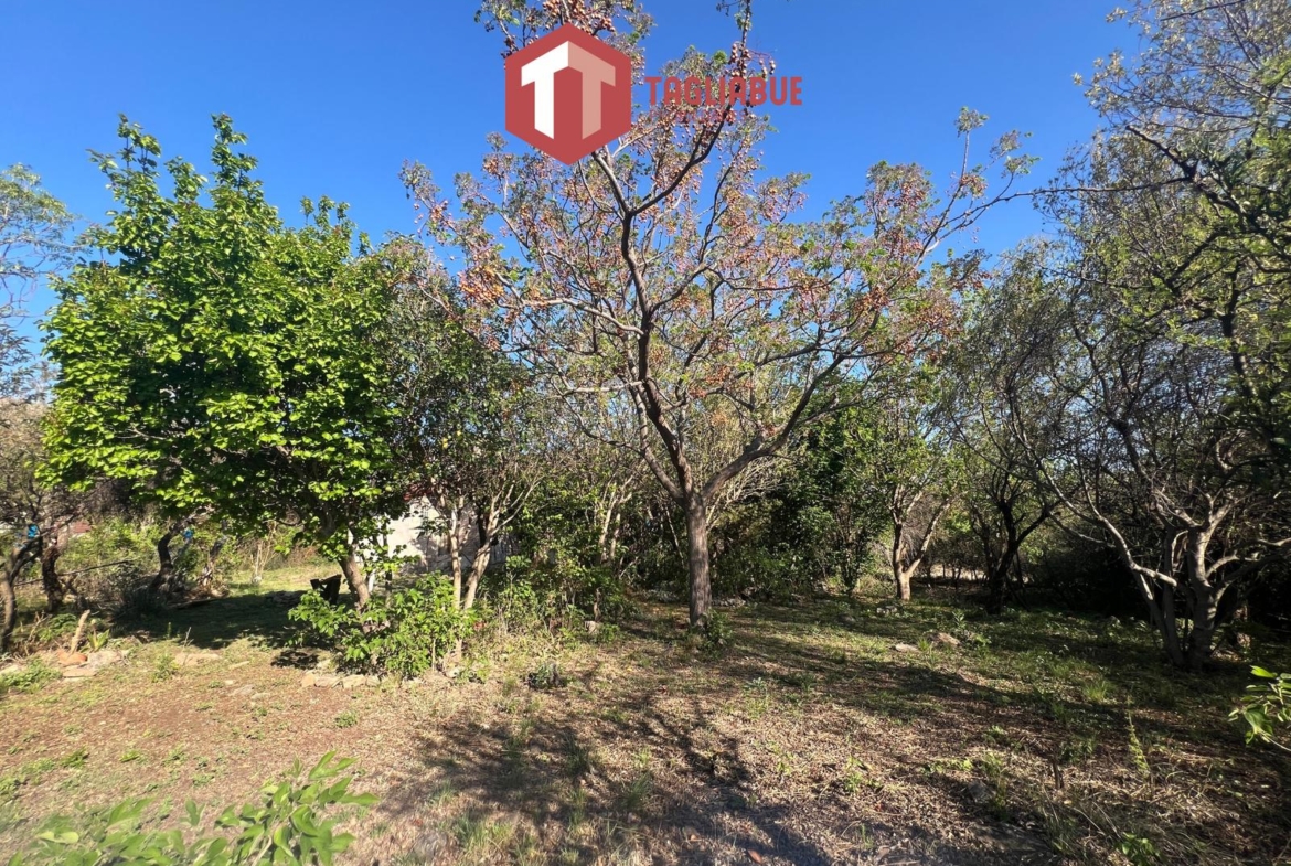 Casa barata Cerro de oro, inmobiliaria Tagliabue Propiedades, Merlo San Luis