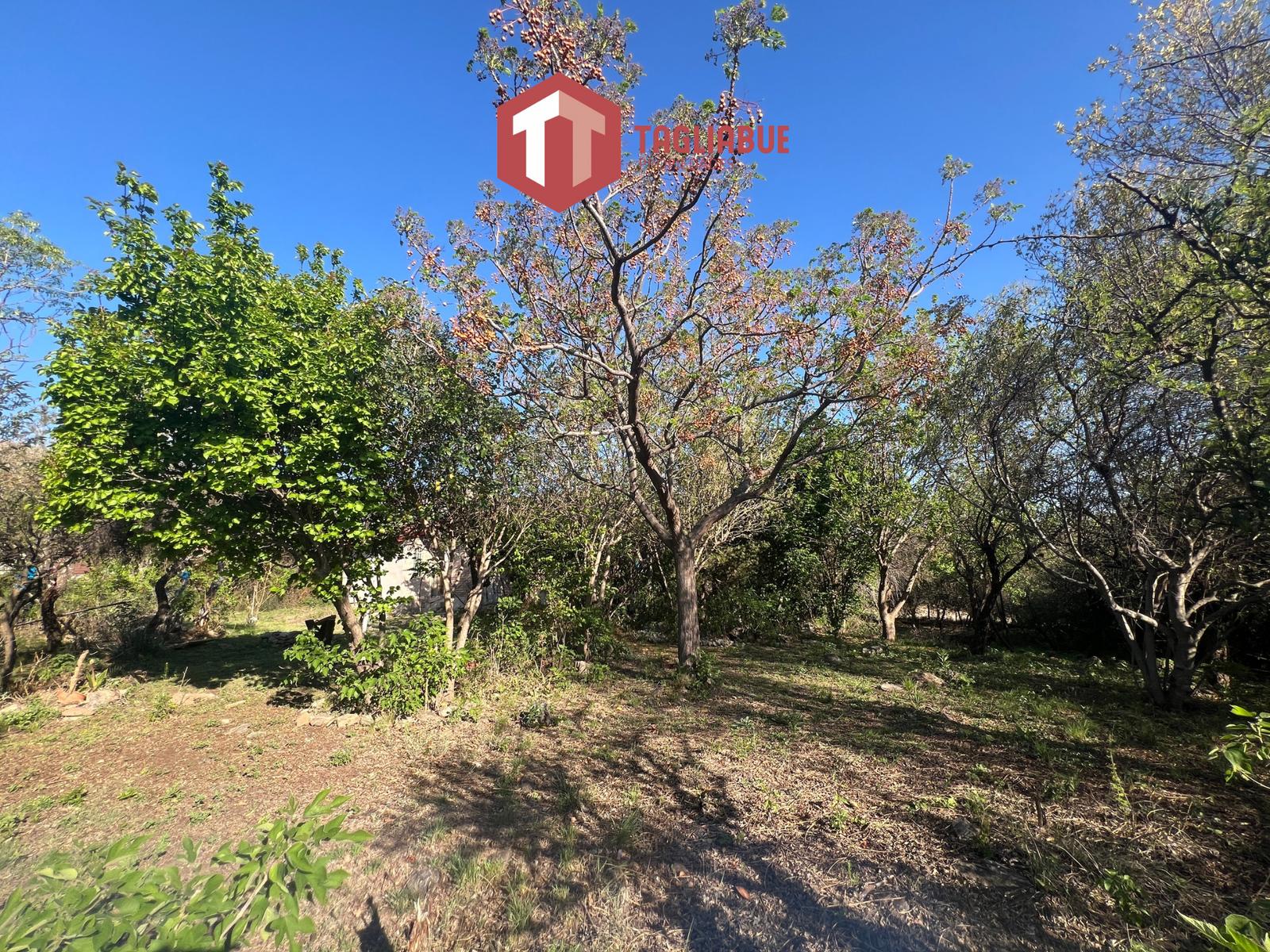 Casa barata Cerro de oro, inmobiliaria Tagliabue Propiedades, Merlo San Luis