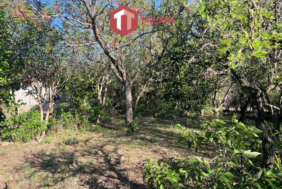 Casa barata Cerro de oro, inmobiliaria Tagliabue Propiedades, Merlo San Luis