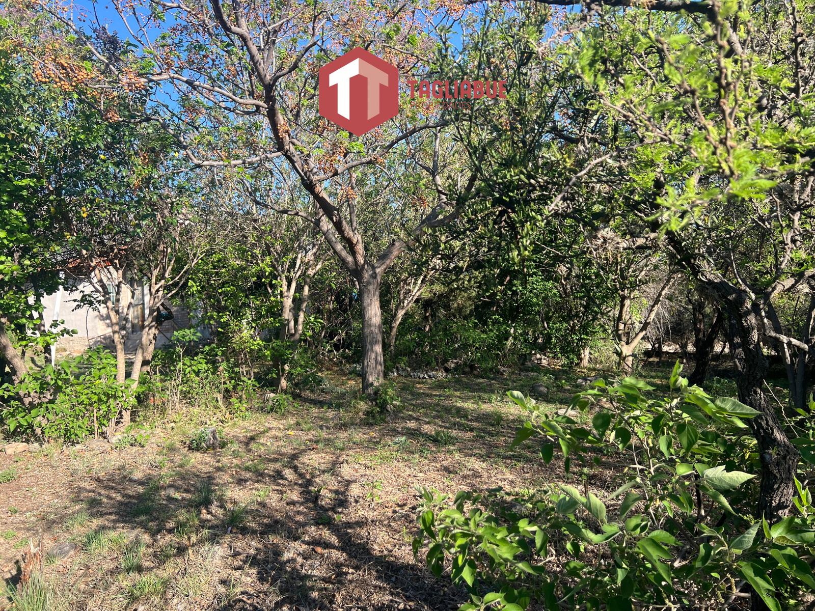 Casa barata Cerro de oro, inmobiliaria Tagliabue Propiedades, Merlo San Luis